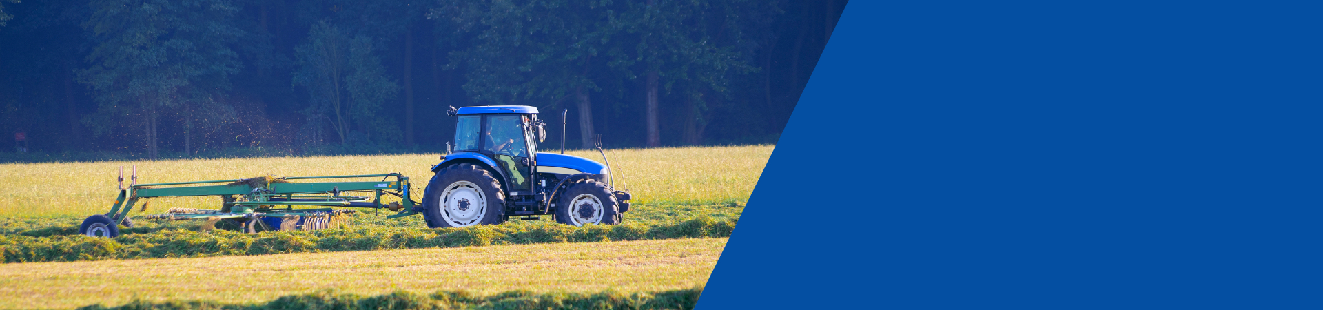 ES Ford New Holland TS 100